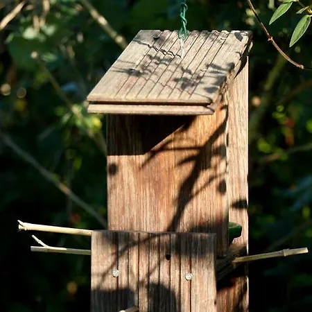 Le Loft Absolut Zen 度假居 Lisle-sur-Tarn